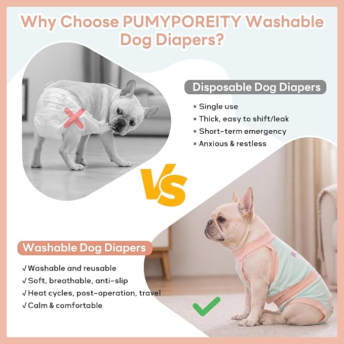 PUMYPOREITY French Bulldog Dog Diaper – Tailored for Short Back & Thick Waist, Reusable Machine Washable Dog Pants for Heat, Marking & Incontinence (Male & Female)