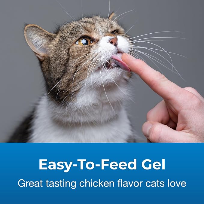 PetAg Hairball Solution Gel Supplement for Cats - 3.5 oz, Pack of 2 - Helps Prevent and Reduce Hairballs in Cats 6 Months and Older