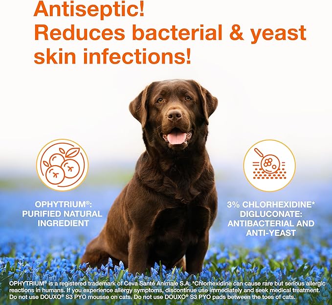 Douxo S3 PYO Medicated Dog Mousse; Bacterial & Yeast Infection Treatment for Dogs – Chlorhexidine Dog Waterless Shampoo, Antibacterial & Antiseptic, for Dogs Only, Clinically Proven, 5 fl oz