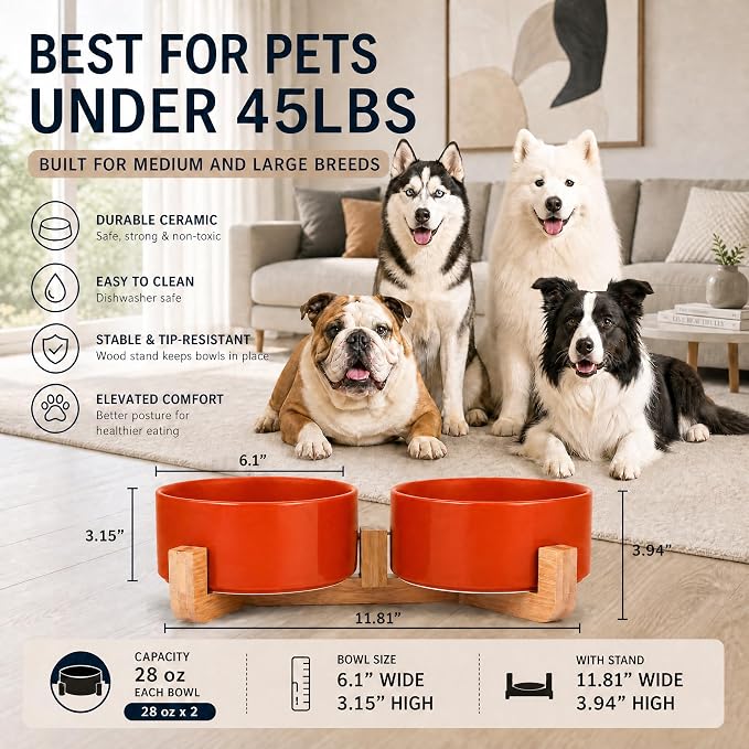 Petygooing Ceramic Cat Dog Bowl Set with Stand,Pet Food and Water Dishes,Medium Dog Bowls Anti -Slip Set of 2 Cat Dish Pet Food Bowls- Small Medium Size Pet (28OZ/6.1 in) Rust Red