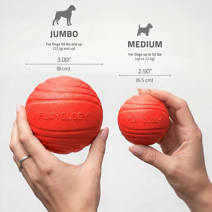Playology Dog Toys | Dual Layer Ball Durable Chew Toy for Tough Chewers | Beef Scented Medium Dog Toy | Chew Toys for Dogs