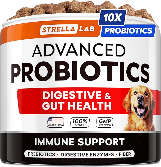 StrellaLab Vet Strength Dog Probiotics Treats - 60 Billion CFU per jar + Digestive Enzymes Prebiotics - Chewable Fiber Supplement w/Pumpkin - Diarrhea, Gas, Constipation, Upset Stomach Relief