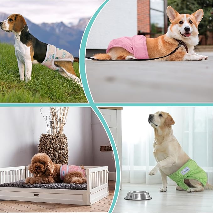 Teamoy Female Dog Diapers for Heat 4-Pack, Reusable Dog Period Diaper Wraps for Incontinence, Training & Housebreaking,XL