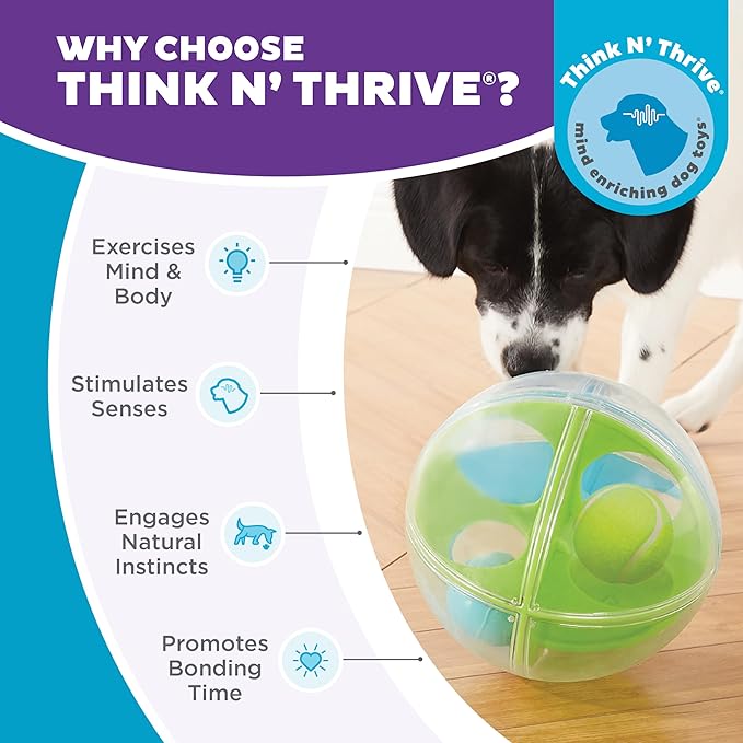 Outward Hound by Nina Ottosson A-Maze Ball Dog Treat Puzzle Ball, Level 2 Intermediate, 8.46" Diameter, Green