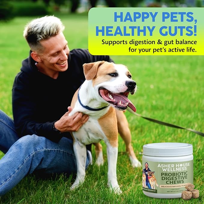 Asher House Wellness Probiotics Digestive Chew for Dogs - Now Lillie & Lee - Probiotic, Digestive Enzymes for Gut Health & Digestion - Pet Chews for Diarrhea, Upset Stomach - 120 Chews