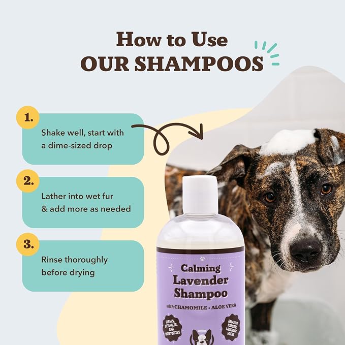 Natural Dog Company Calming Lavender Dog Shampoo – Hypoallergenic Deodorizing Wash for Smelly Dogs, Gentle Moisturizing Formula with Aloe Vera & Chamomile, 12 oz