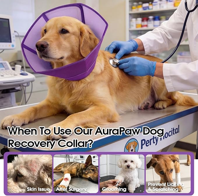 Soft Dog Recovery Cone Collar, Comfortable Post Surgery Protection Alternative to E Collar, Adjustable Anti-Licking Healing Guard for Wound Care, Elizabethan Recovery Shield, Purple, Size M