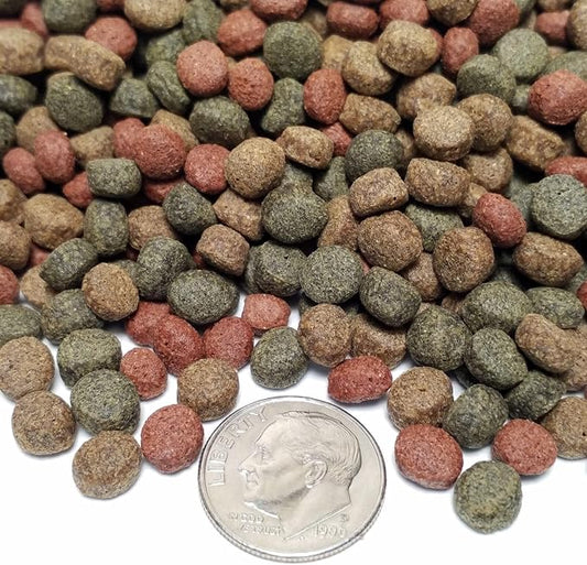 3-Type Mix of 6mm - 1/4" Intense Color Enhancing, Intense GRO & Color Red Floating Pellets for Koi & Pond Fish KGM-500-12-lbs
