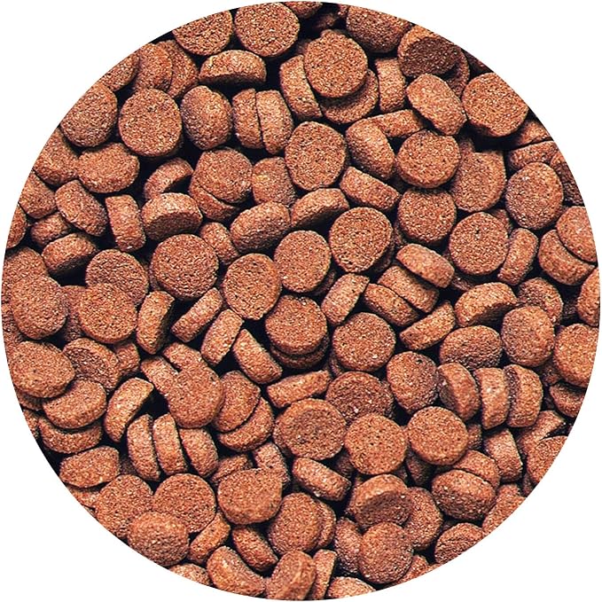 Hikari Sinking Carnivore Pellets for Pets, 2.61-Ounce