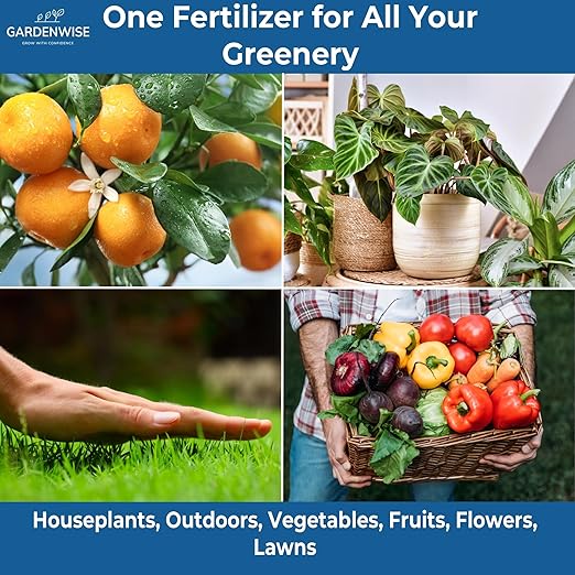Gardenwise 20-20-20 Water-Soluble Fertilizer – Powder for Liquid Plant Food for Indoor & Outdoor Plants, Orchids, Vegetables, Lawns, Flowers – 20 20 20 Fertilizer 3 Quarts (6 lbs)
