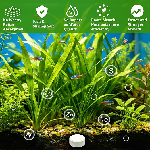 Root Tabs for Freshwater Aquarium Plants – Slow Release Plant Fertilizer, Safe for Fish and Invertebrates, Supports Strong Root Growth and Healthy Leaves, 100g/Bottle (1)