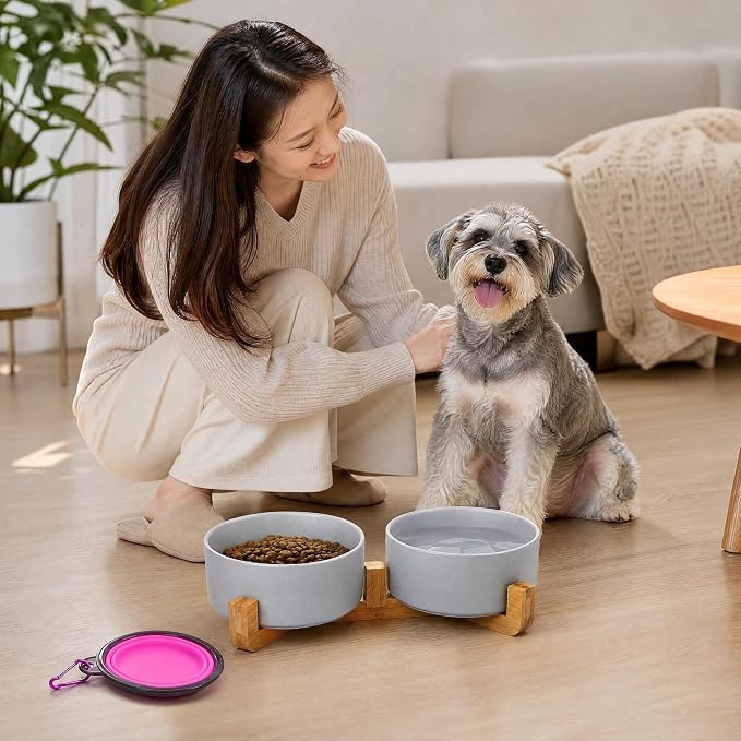 Petygooing Ceramic Dog Bowl Set with Wood Stand, Grey, 13.5OZ/5.1 in, Suitable for Cats & Small Dogs
