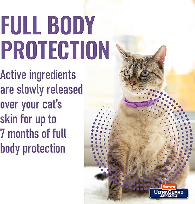 Hartz UltraGuard ProMax Flea & Tick Collar for Cats & Kittens I 14 Months Protection I Soft & Comfortable | Kills Fleas, Ticks, and Larvae I 2 Pack