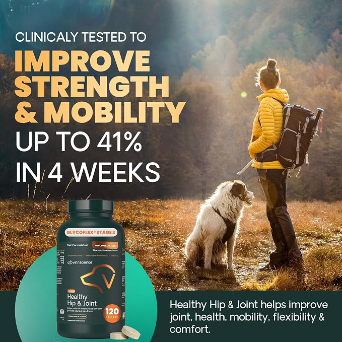 VetriScience Healthy Hip & Joint Chewable Tablets, GlycoFlex Glucosamine and Green-Lipped Mussel Joint Support Supplement for Dogs, Promote Mobility and Protect Joints, Chicken, 120 Count