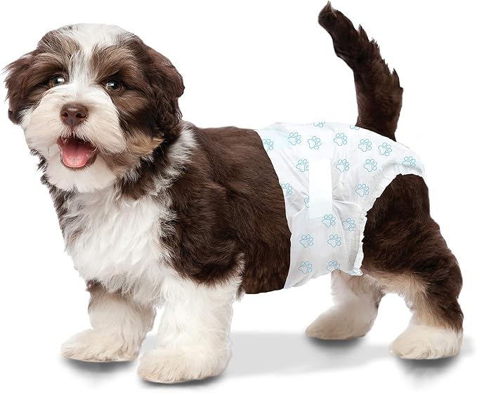 Four Paws Wee-Wee Super Absorbent Disposable Adjustable Dog Potty Training Diapers, Leak-Proof Protection for Dogs, Size Extra Small, Up to 8" Waist, 36 Count