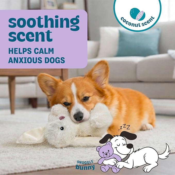 Calming Plush Dog Toy with Squeaker, Ultra-Soft Floppy Cuddle Companion, Coconut Scented, Bunny, Small, 7.9”