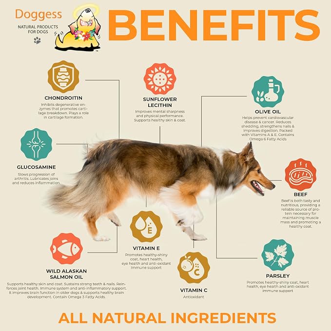 Dressing Best Hip and Joint Supplement for Dogs, Glucosamine & Chondroitin/Joint Health/Salmon Oil for Dogs Skin and Coat Health, Delicious Beef Gravy Flavor - 16 Oz Pack of 1