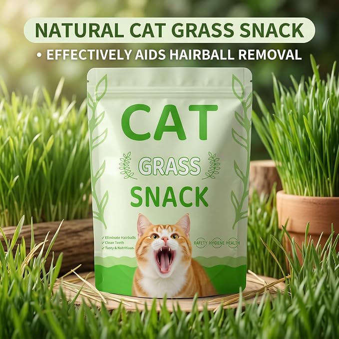 90g/3.17oz Cats Treat Cat Grass Teething Stick Kitten Toy Catnip Toys for Hairball Removal Freeze Dried Chew Dental Food for Indoor Kitty Lickable Edible Snack for Eliminate Fur Digestion