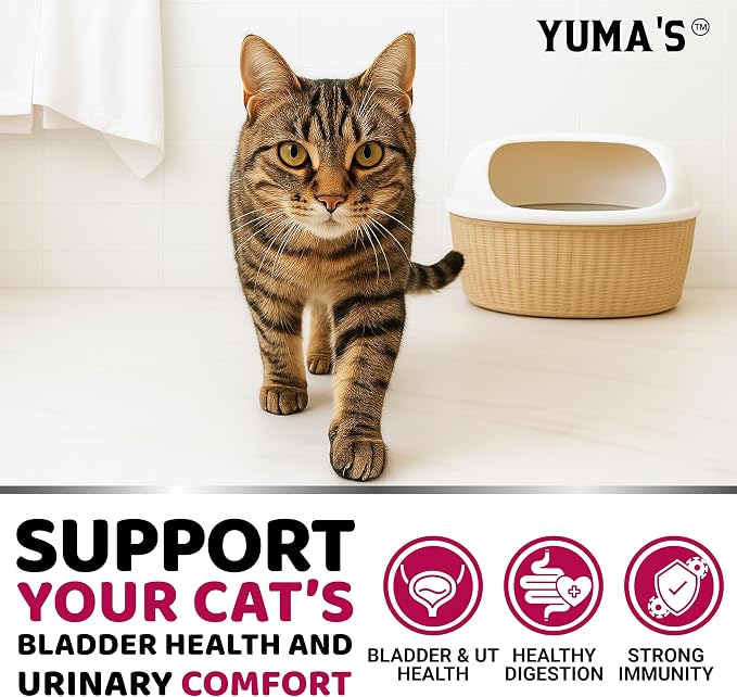 Cat Urinary Tract Health - Cranberry Supplement for Cats - Promotes Healthy Digestion & Normal Bladder Function - Probiotics - Vitamins and Food Supplements - Immune & Multivitamin Support Chews
