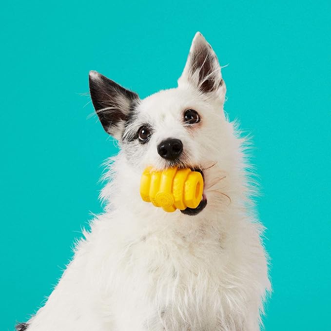 HIVE Parent (Unscented Yellow, Hive Chew Toy for Small Dogs)