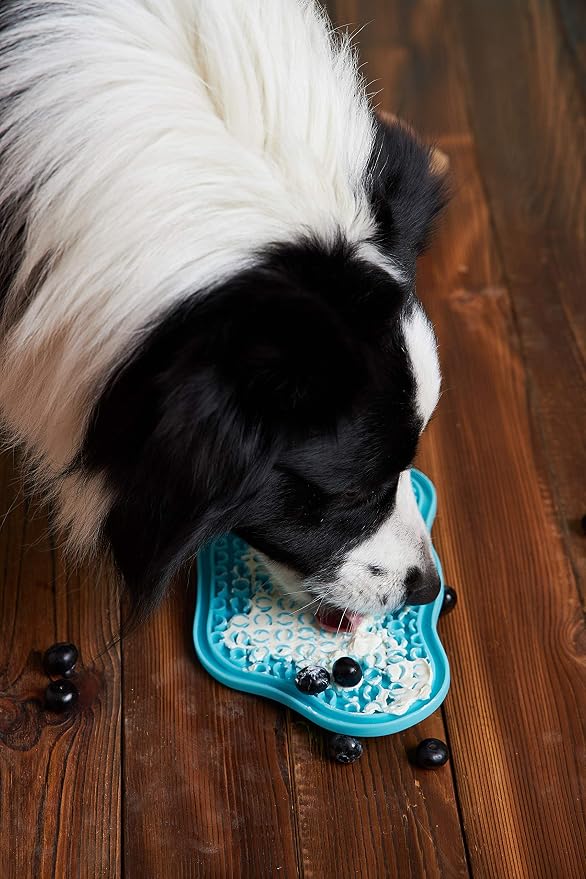 PetDreamHouse PAW 2-in-1 Slow Feeder Interactive Bowl and Removable Lick Mat Pad for Dogs, Puppies or Cats Plate Food Treats Controls Fast Eating Anti Bloating - Blue