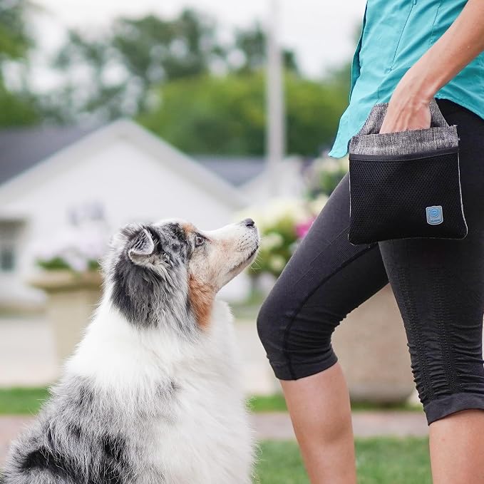 Blue-9 Inspire Dog Training Treat Pouch, Convenient Storage and Easy Access for Treats