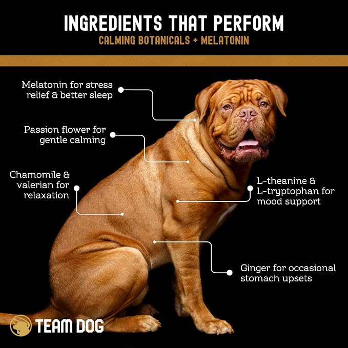 TEAM DOG Calming Chews - Anxiety Relief Treats | Natural Calming Bites with Melatonin, Chamomile, Valerian & Passion Flower | 120 Soft Chews for Large & Small Dogs | Delicious Peanut Butter Flavor