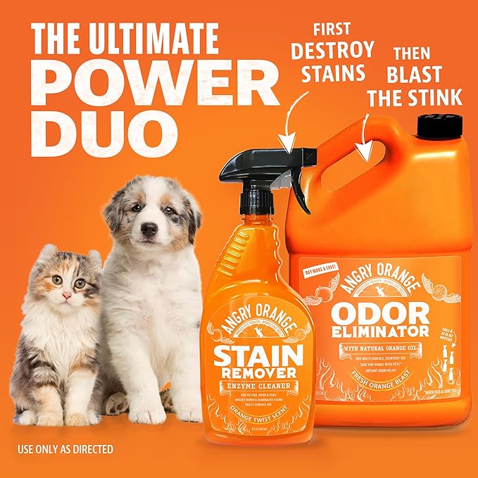 Angry Orange Pet Odor Eliminator for Dog and Cat Urine, Carpet Stains, and Strong Smells – Orange Rush Scent Cleaner – 1 Gallon