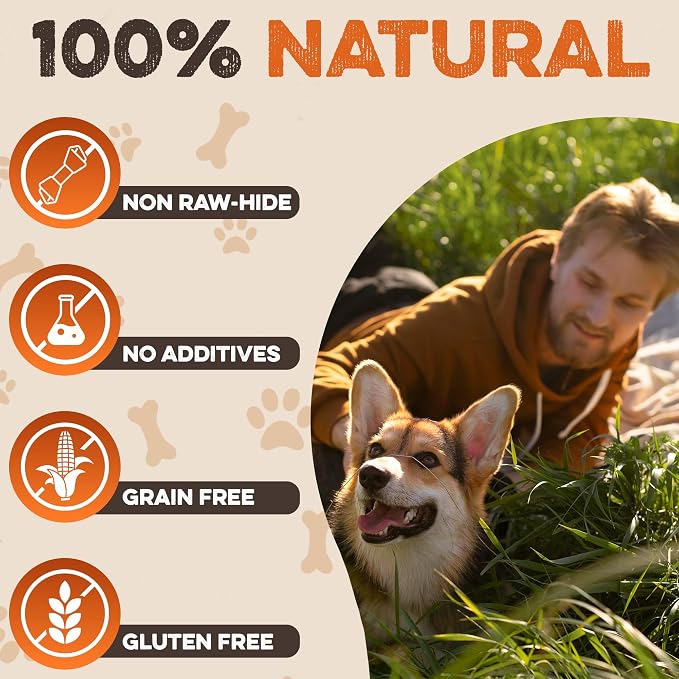 Premium Beef Cheek Rolls for Dogs 10-12" - (10-Pack) Long Lasting, Safe & Natural Rawhide Alternative Chews, Ideal for Large Dogs & Aggressive Chewers, Supports Dental Health & Digestion