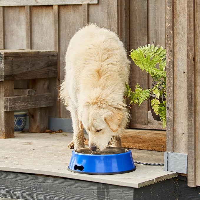 Farm Innovators Heated Pet Water Bowl, 60W Heated Water Dish - 5.5 Quart Stainless Steel Watering Station with Anti-Chew Cord Protector for Dogs & Cats
