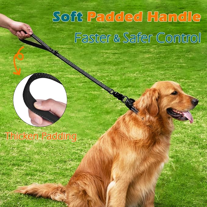 PetBonus Heavy Duty 24 Inch Short Dog Leash and 2-Pack Silicone Collapsible Dog Bowls
