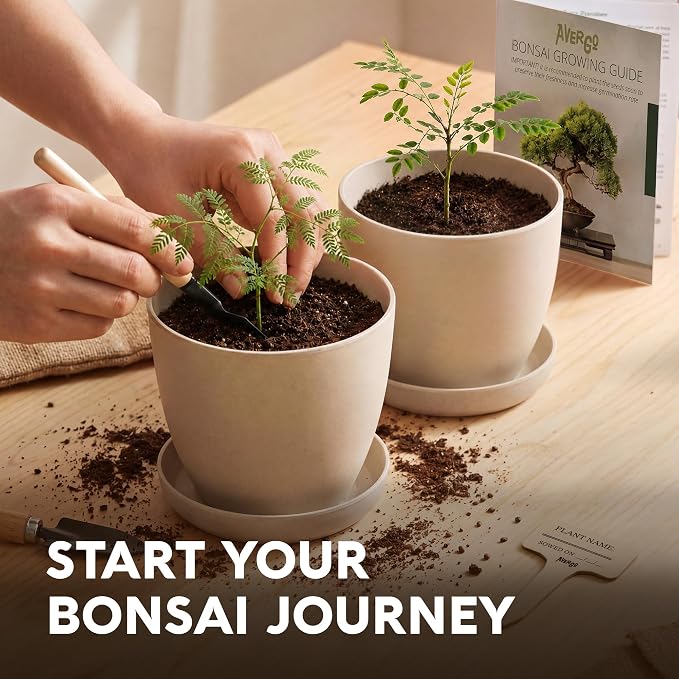 Bonsai Starter Kit – 2X Bonsai Tree | Complete Indoor Starter Kit for Growing Bonsai Plants with Tools & Planters – Gardening Gifts for Women & Men