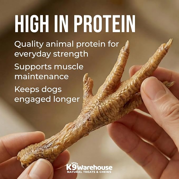K9warehouse Chicken Feet Dog Treats - 30 Count - Natural Dehydrated Chicken Feet for Dogs - Nutrient-Rich Dog Chicken Feet - Tasty Chicken Foot Chews for Canines - Ideal for Training & Dental Health