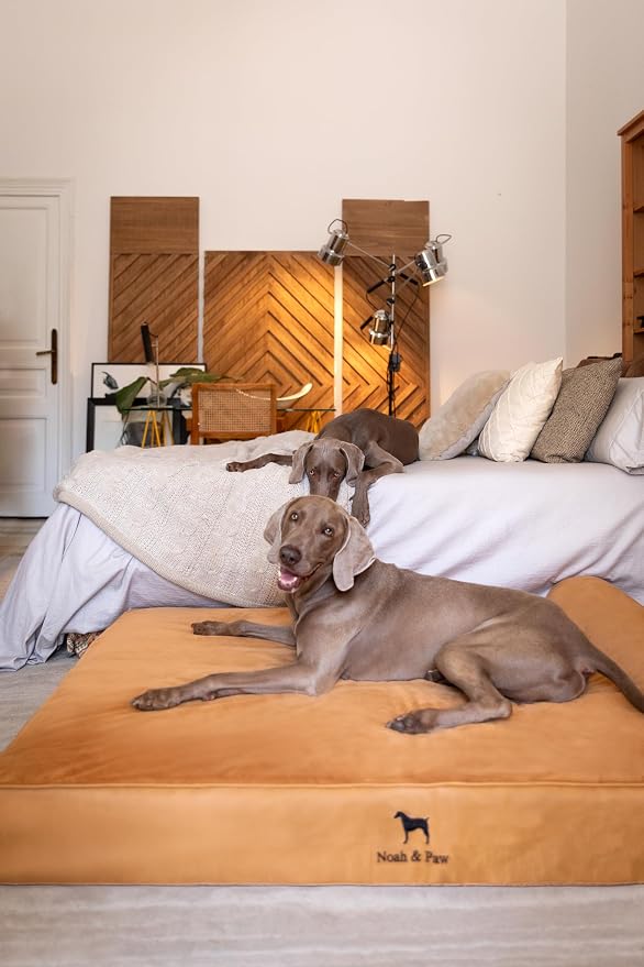 NOAH & PAW Giant Dog Bed XXL 55x45x9.5 Inch, Orthopedic Dog Beds, Eggshell Memory Foam Infused with Cooling Gel, Water Resistant, Machine Washable, Includes Inner Cover (Faux Leather)