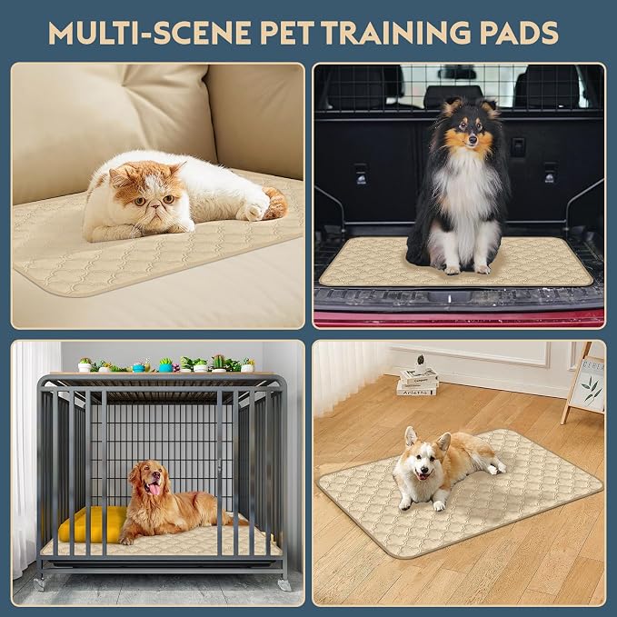 FunFurry Washable Pee Pads for Dogs - 2 Pack Reusable Waterproof Puppy Training Pads, Super Absorbent with Dog Paw Shape Non-Slip Backing (Cream, 36" X 41" - 2 Pack)