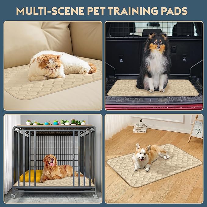 FunFurry Washable Pee Pads for Dogs - 2 Pack Reusable Waterproof Puppy Training Pads, Super Absorbent with Dog Paw Shape Non-Slip Backing (Cream, 24" X 24" - 2 Pack)