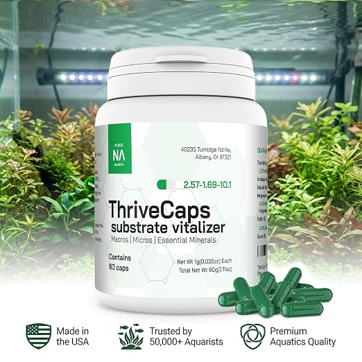 ThriveCaps Aquarium Root Caps – Premium Root Fertilizer for Live Plants – Slow Release – Strong NPK + Micros – Safe for Shrimp & Snails – 60 Count