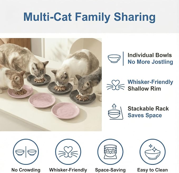 Shallow Cat Bowls 6 Pack – Whisker Friendly Ceramic Cat Dishes for Wet & Dry Food, Dishwasher Safe
