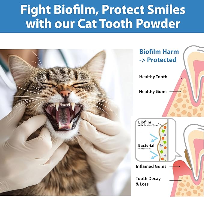 Cat Dental Powder, Bad Breath Tartar Control, Help Gingivitis and Stomatitis | Plaque Off with Natural Extracts & Probiotics