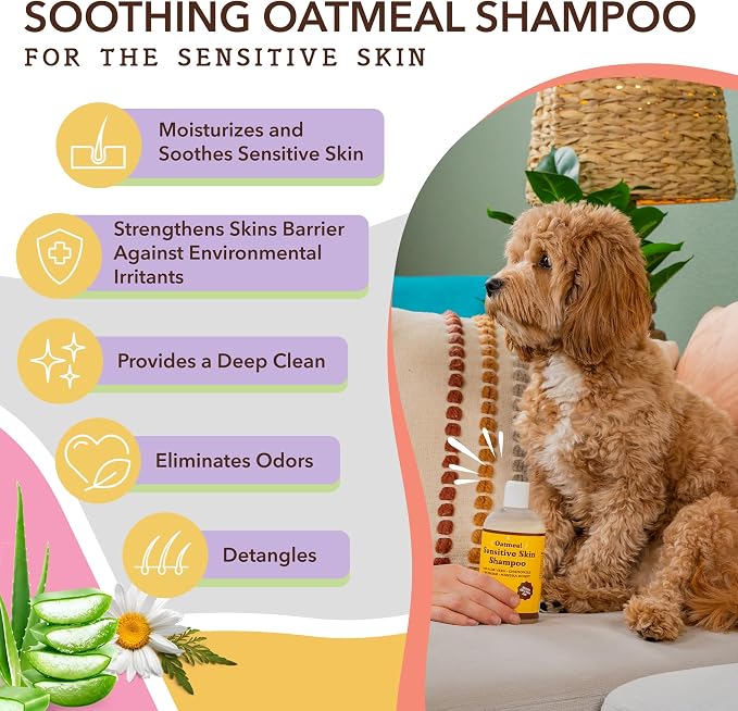Natural Dog Company Bundle: Allergy & Itchy Defense Chews (90 ct) + Oatmeal Shampoo (12 oz) – Dog Allergy & Itchy DefenseSupport Supplement with Probiotics + Soothing Shampoo for Sensitive Skin