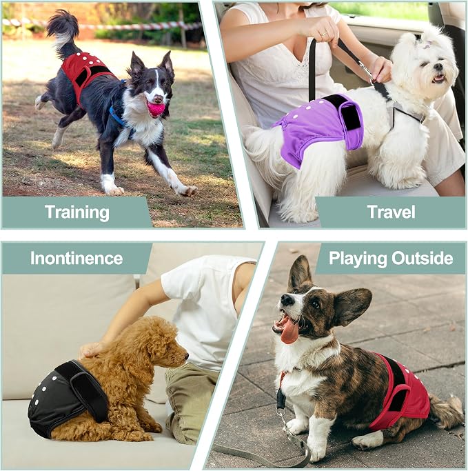 Female Dog Diapers - Reusable Diapers for Doggie in Heat - Highly Absorbent for Pet Incontinence with Adjustable Snaps (Pack of 3) Red Black Purple, L