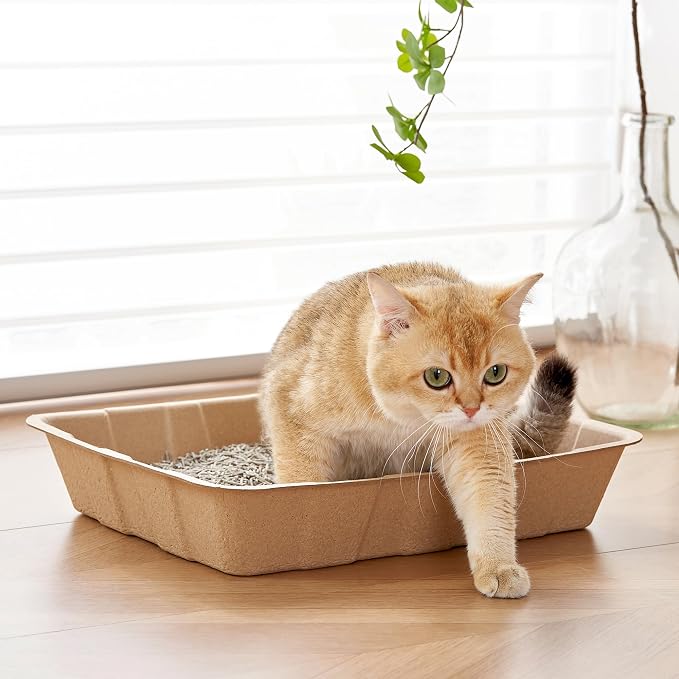 Vealind Disposable Litter Boxes for Cats Cardboard Cat Litter Trays Cat Travel Toilet Litter Pan Liners Kitty and Small Animals Leakproof Litter Box (10 Pack)