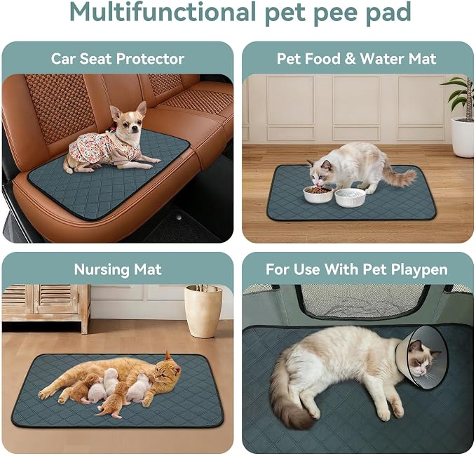 Siedihit Washable Reusable Pet Pee Pads, Absorbent Non-Slip Training Mat for Dog Cat Rabbit Puppy Kitten, Whelping Playpen Crate Bed Cage Home Indoor Outdoor (Small - 4pack, Rectangle)