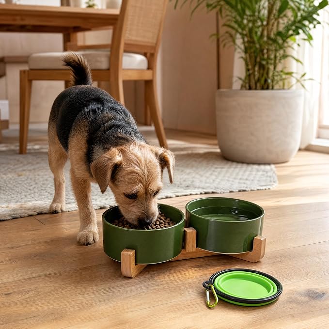 Petygooing Ceramic Dog Cat Bowl Set with Stand, Pet Food and Water Dishes,Medium Pet Bowl Anti -Slip Set of 2 Cat Dish-Pet Food Bowls Small Medium Size Dog (28OZ/6.1 in) Rust Green