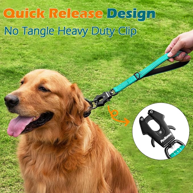 PetBonus Heavy Duty 12 Inch Short Dog Leash and 2-Pack Large Silicone Collapsible Dog Bowls