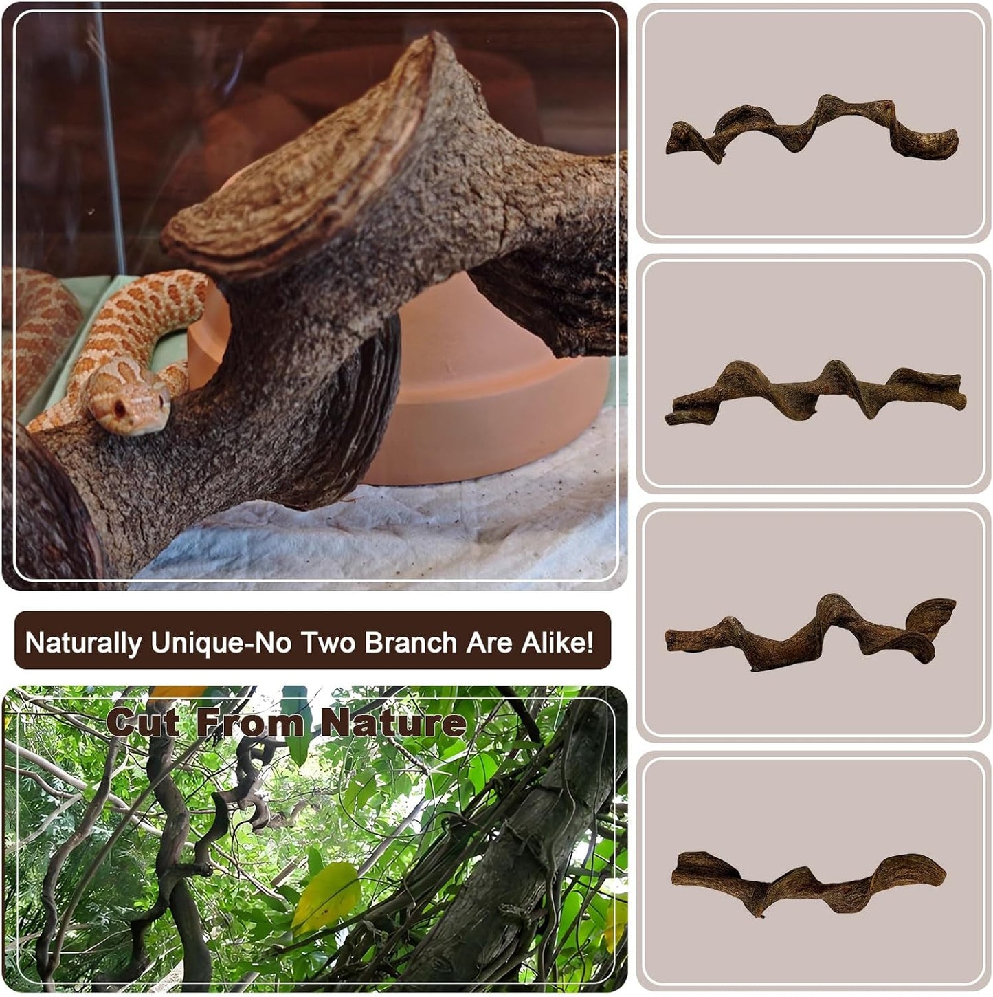 BNOSDM 2Pcs Reptile Climbing Branches Decor,Snake Climbing Branch,Gecko Climb Wood,Lizard Forest Branch,Tank Habitat Tree Trunk Decorations for Bearded Dragons,Chameleons,Spider,Frogs (M)