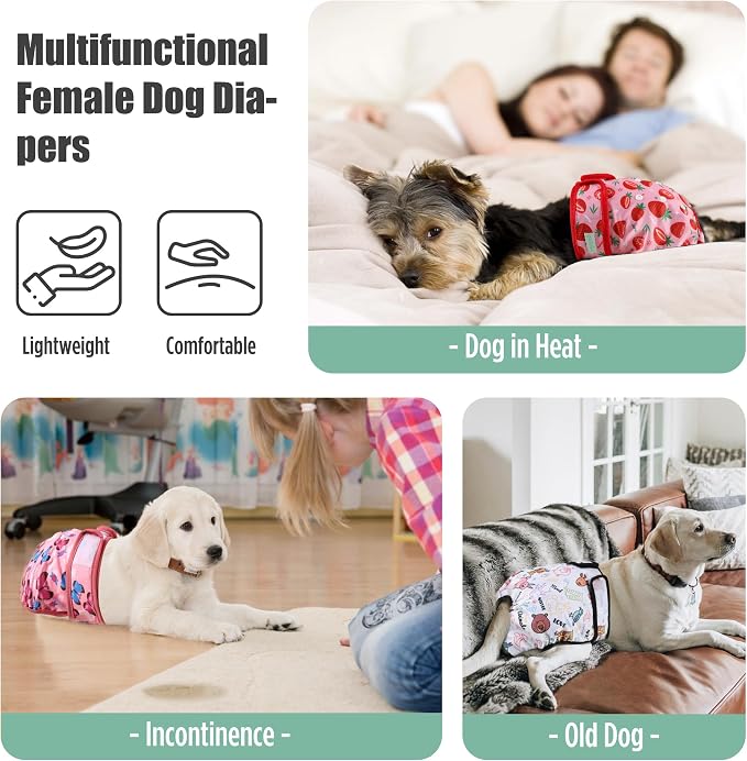 wegreeco Female Dog Diapers, Washable Reusable Pet Puppy Doggie Diapers for Small Medium Large Female Dogs in Heat Period, Doggy Period Panties, 5 Pack, XX-Large, Strawberries