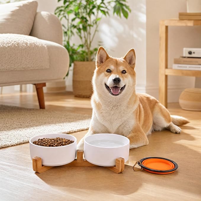Petygooing Dog Bowls,White Ceramic Cat Dog Bowl Set with Wood Stand for Food and Water Feeder, Modern Pet Dish Set for Cats and Small Size Dogs Puppy (13.5OZ/5.1 in)