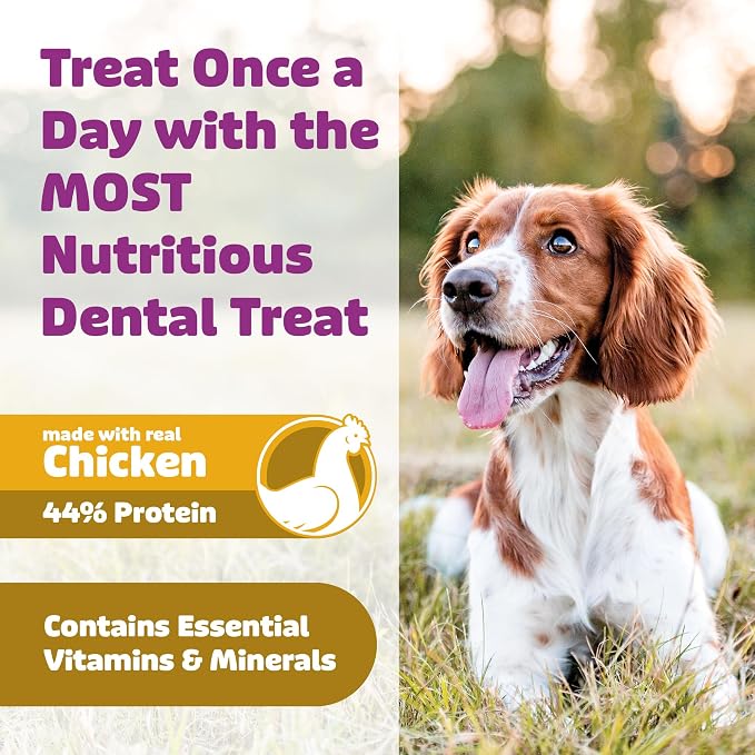 Yummy Combs Dog Dental Treats – Vet VOHC Approved – Delicious Chicken Protein – Removes Tartar with Cleaning Comb Shape – Dental Dog Treats for Extra Large Dogs (36oz, 18 Count)