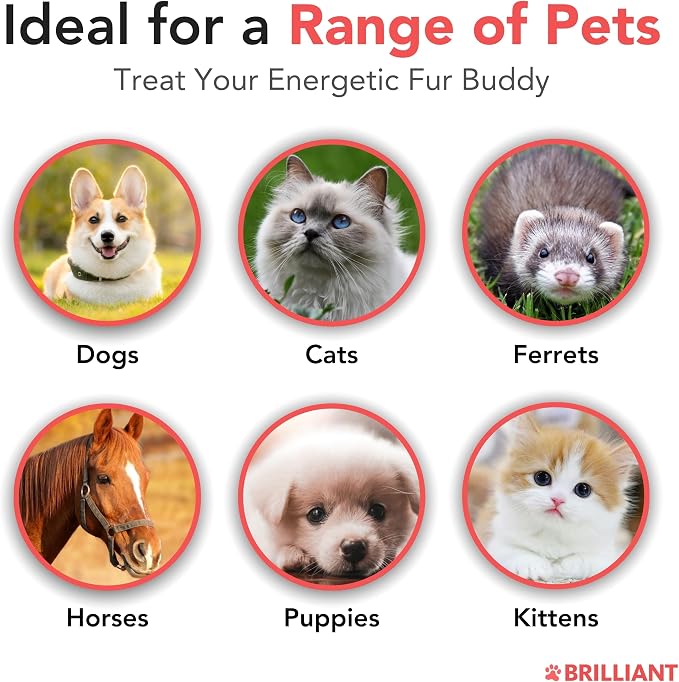 Brilliant Norwegian Salmon Oil for Dogs, Cats, Horse, Ferret - Pure Omega 3, 6 & 9 Fish Oil Food Treats Supplement for Natural Coat, Immune Support, Itchy Skin, Joint & Brain Health - 40 Oz